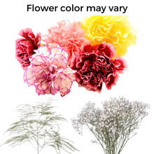 Load image into Gallery viewer, Ice Show Flowers 2026