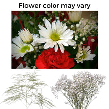 Load image into Gallery viewer, Ice Show Flowers 2026