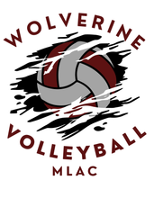 Load image into Gallery viewer, Volleyball 2025 Fan Shirt
