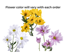 Load image into Gallery viewer, Cinderella Fall Play
