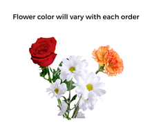 Load image into Gallery viewer, Cinderella Fall Play
