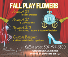 Load image into Gallery viewer, Cinderella Fall Play
